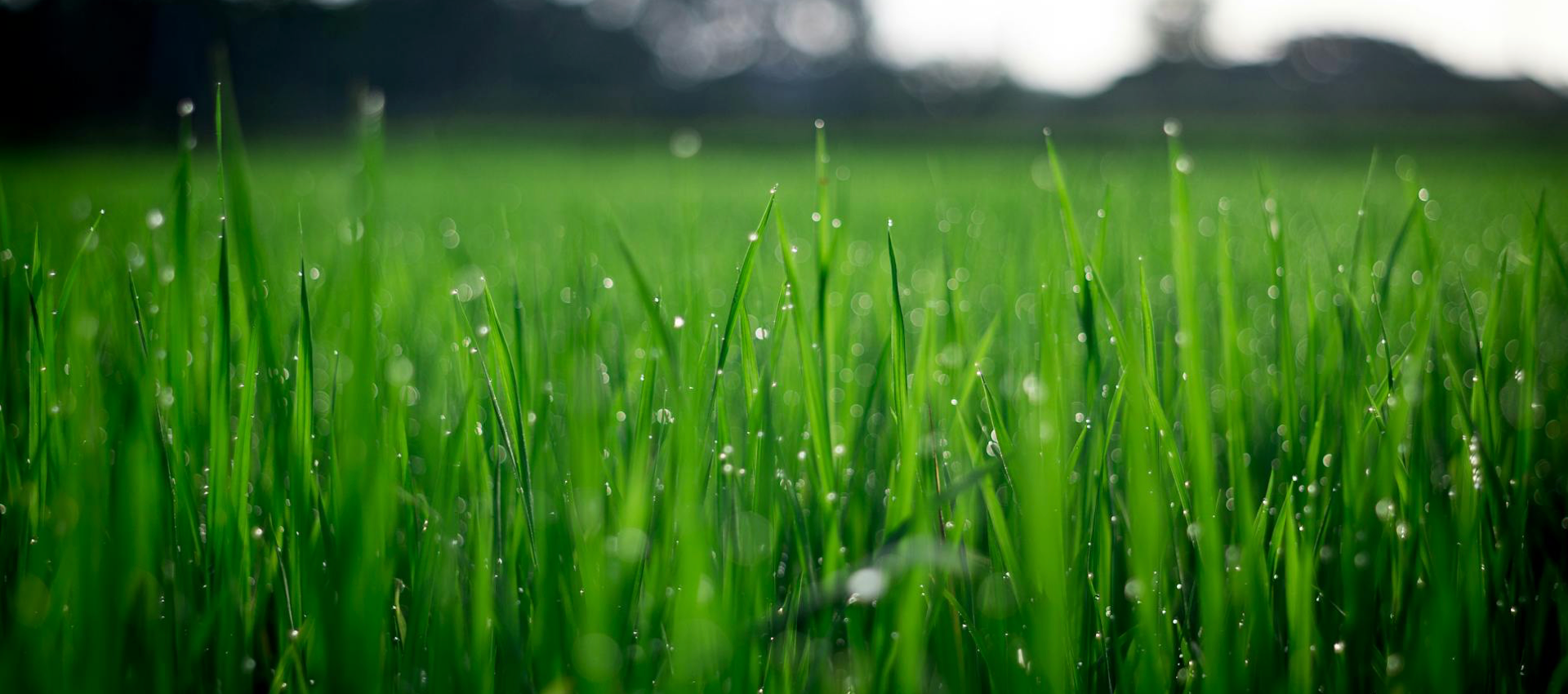 slider image 1621243260e1af0c20-0